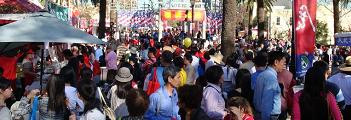 Chinese New Year Festival