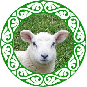 year of the sheep